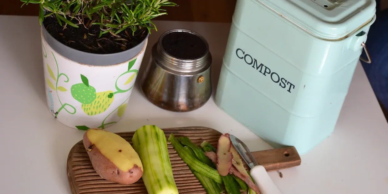 Cover image for Reasons you should never send your food scraps to the landfill again