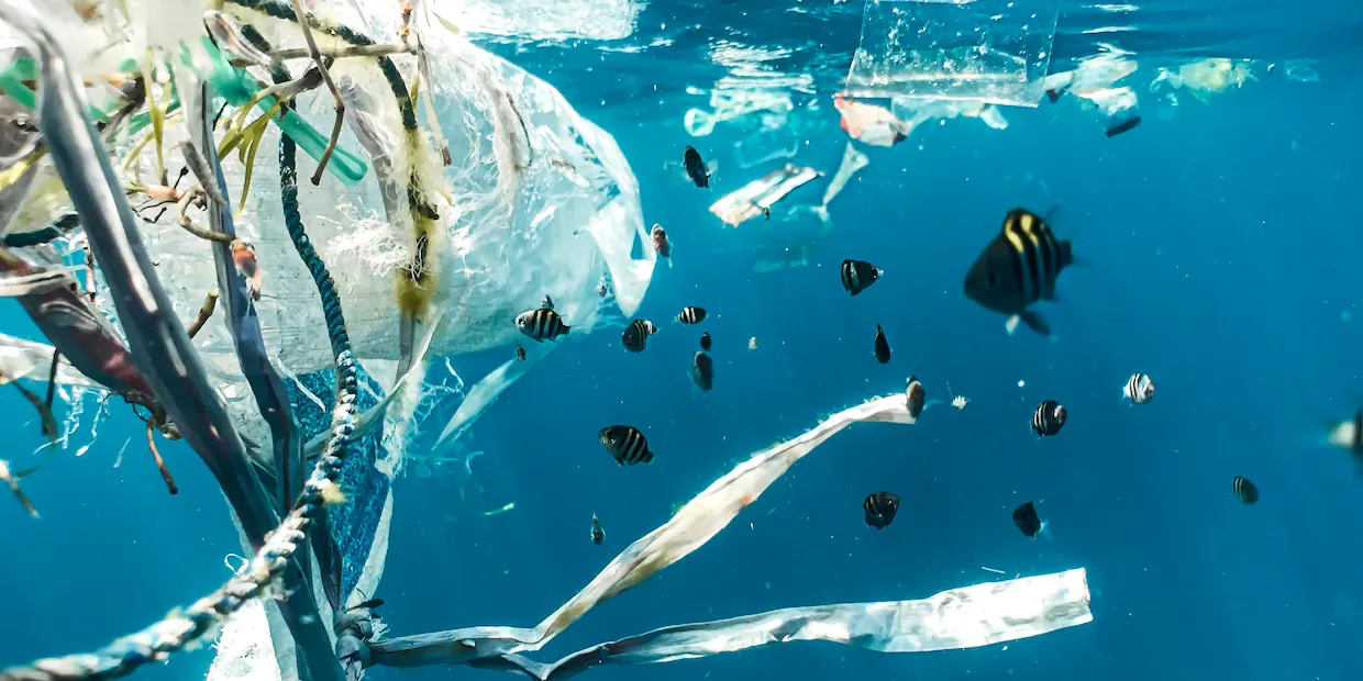 Cover image for This Could Be the Solution to Reducing Plastic Waste